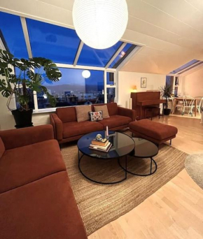 Penthouse apartment in city RVK with unique view